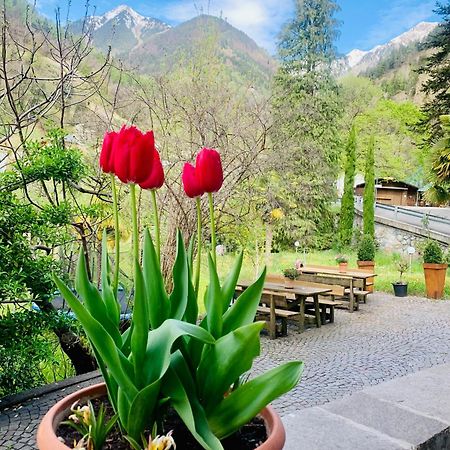 Tannerhof Bed & Breakfast Caines Экстерьер фото