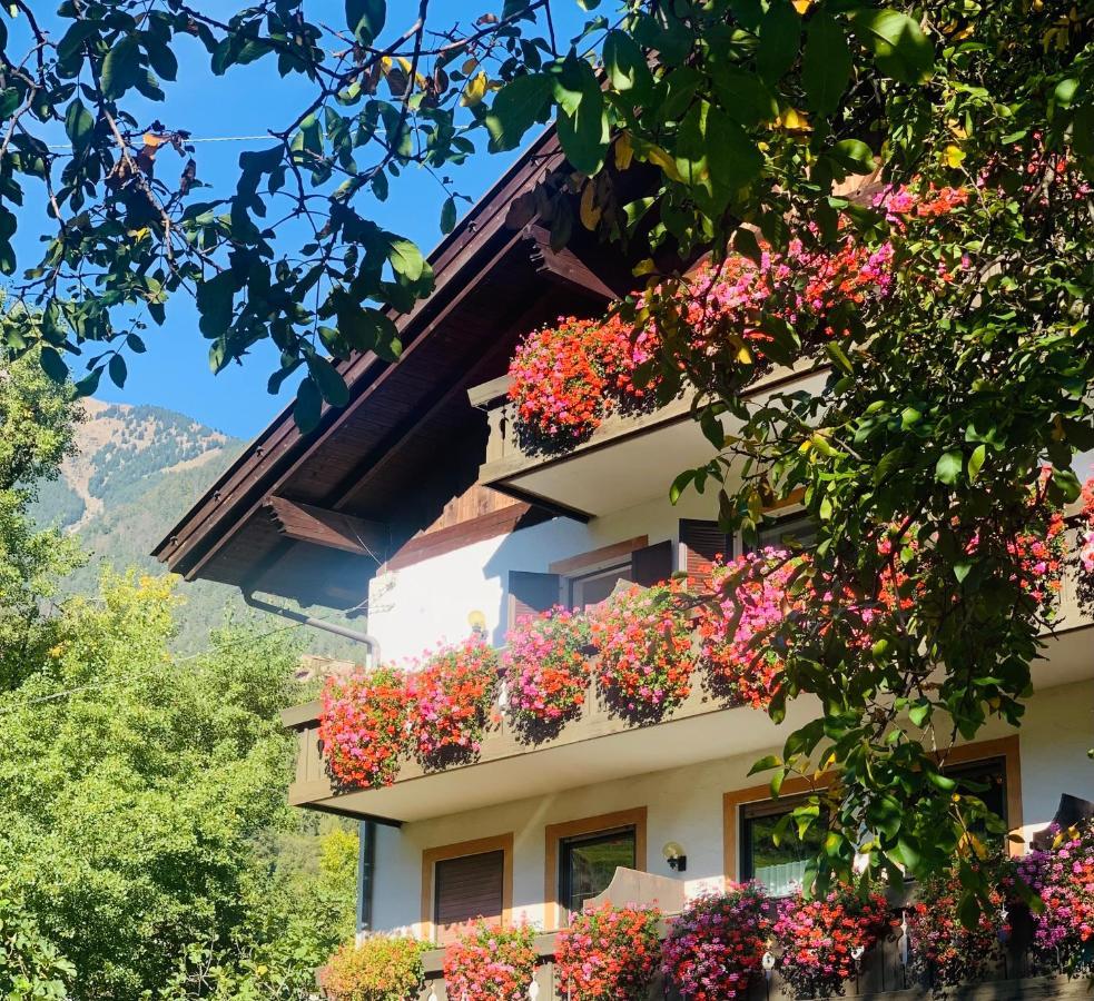 Tannerhof Bed & Breakfast Caines Экстерьер фото