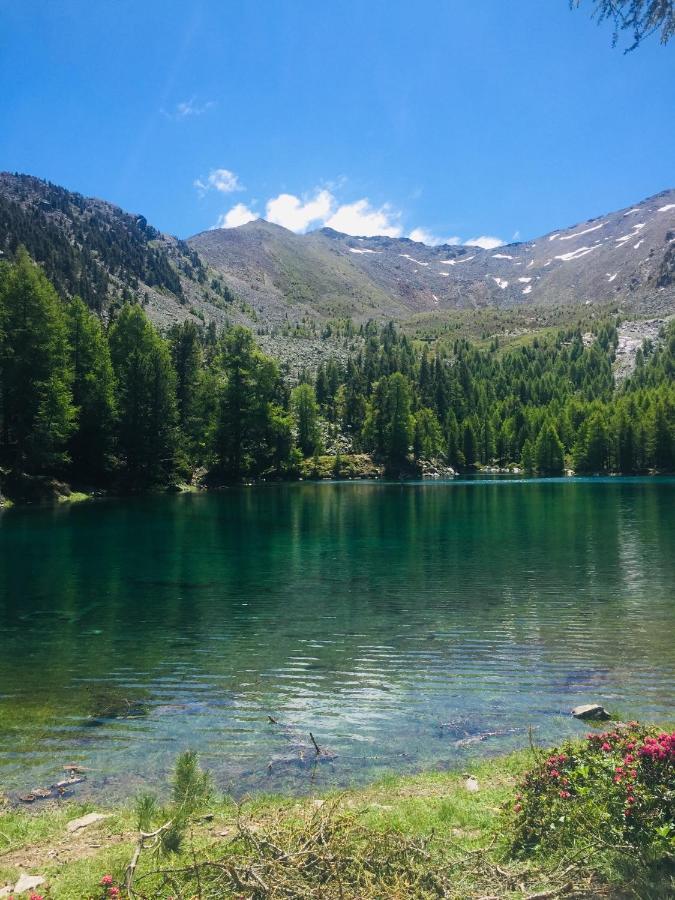 Tannerhof Bed & Breakfast Caines Экстерьер фото