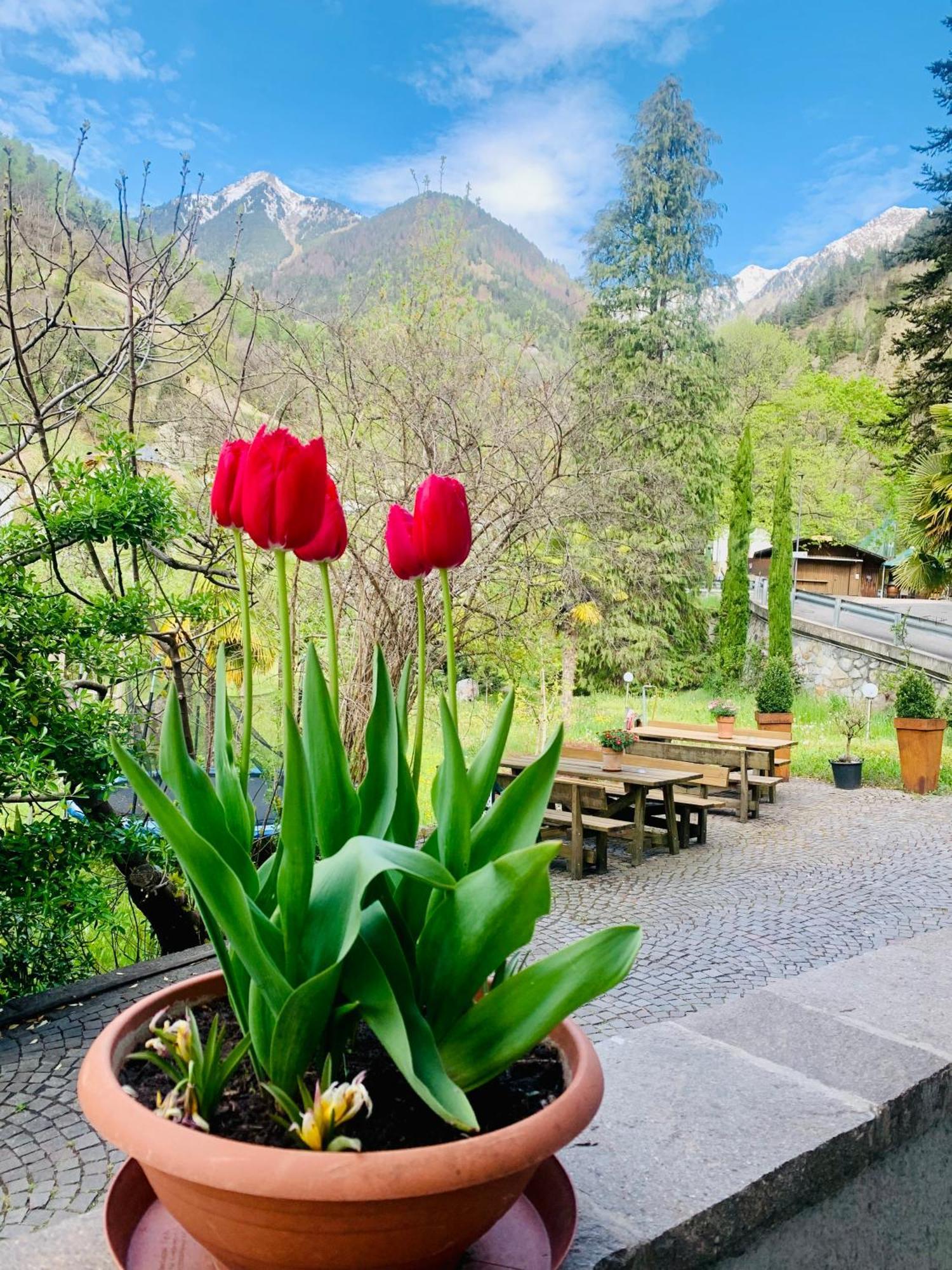 Tannerhof Bed & Breakfast Caines Экстерьер фото