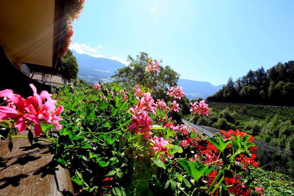 Tannerhof Bed & Breakfast Caines Номер фото