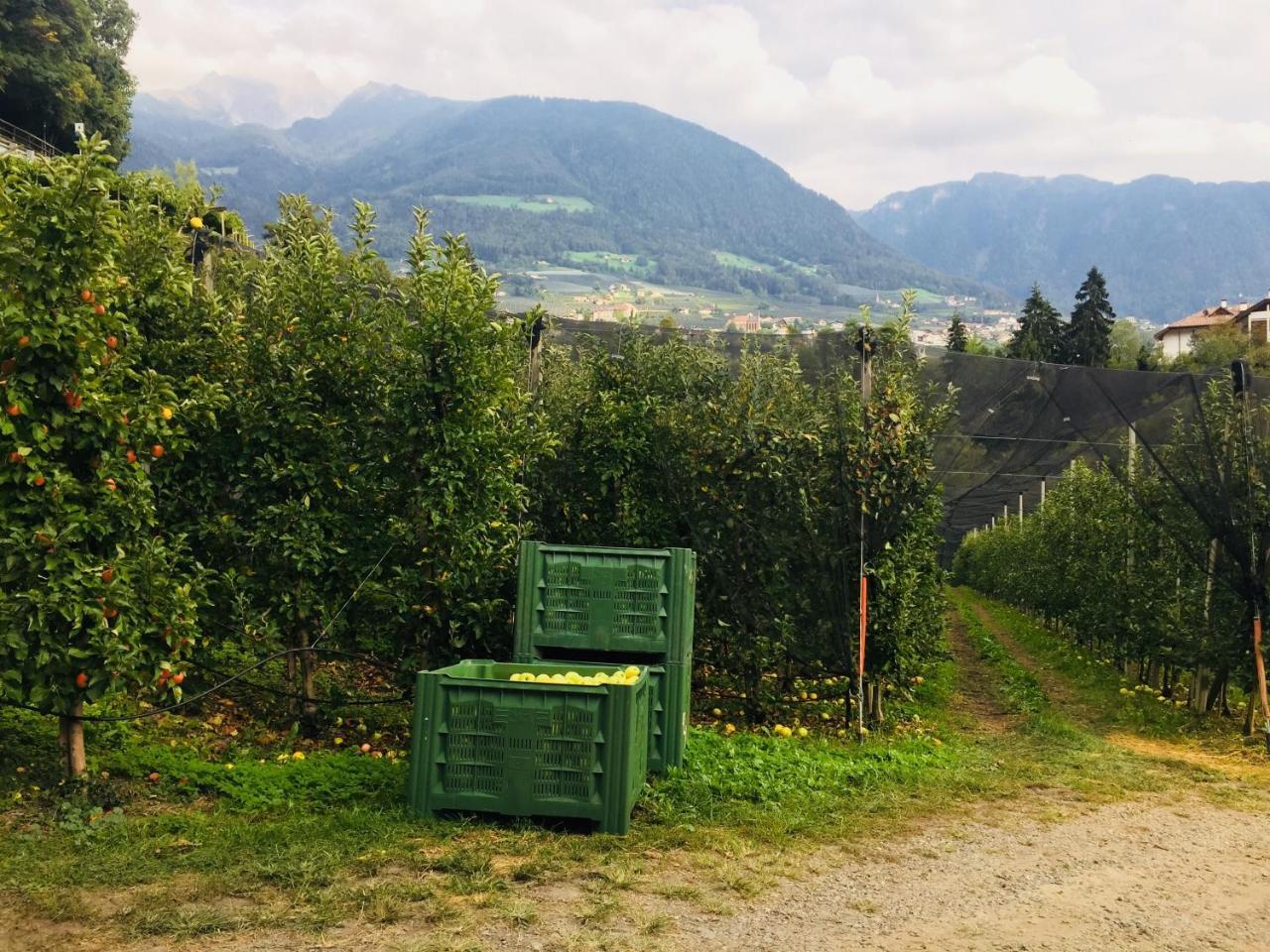 Tannerhof Bed & Breakfast Caines Экстерьер фото